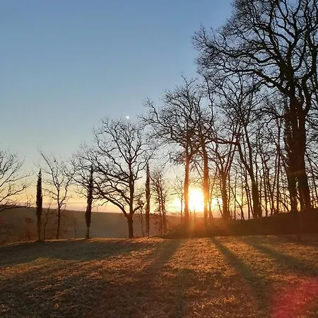 Au Domaine Terre De Chenes Saint-Paul-de-Baise