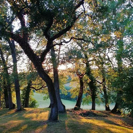 Au Domaine Terre De Chenes * Saint-Paul-de-Baise