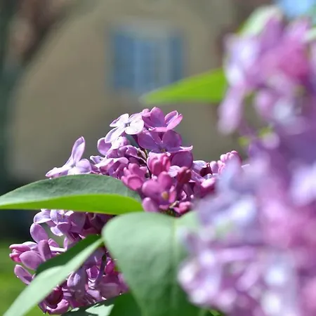 Au Domaine Terre De Chenes 別荘