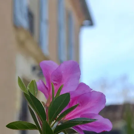 Hébergement de vacances Au Domaine Terre De Chenes *