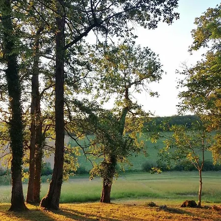 Au Domaine Terre De Chenes *