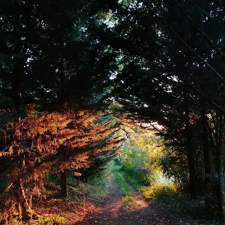 Au Domaine Terre De Chenes *