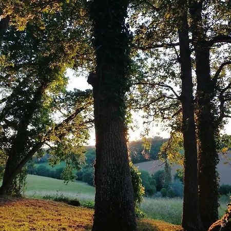 Au Domaine Terre De Chenes